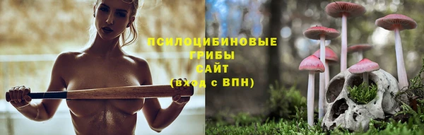 первитин Вяземский