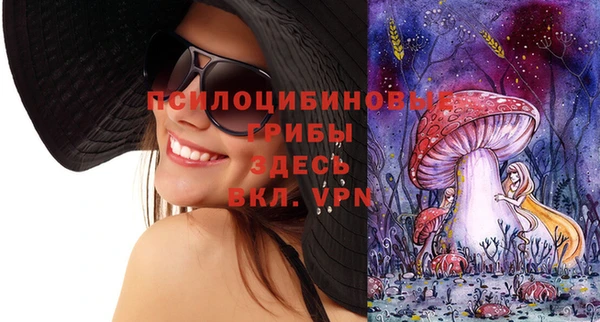 первитин Вяземский