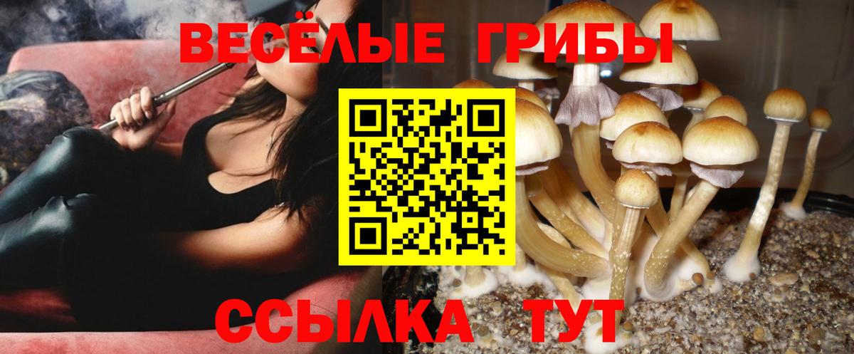 Псилоцибиновые грибы Magic Shrooms  Вход с VPN  Муром 
