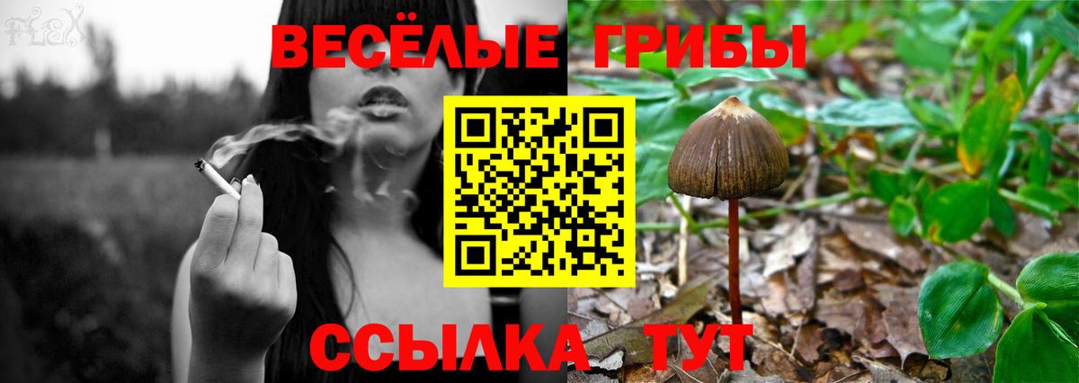 Галлюциногенные грибы мухоморы Муром